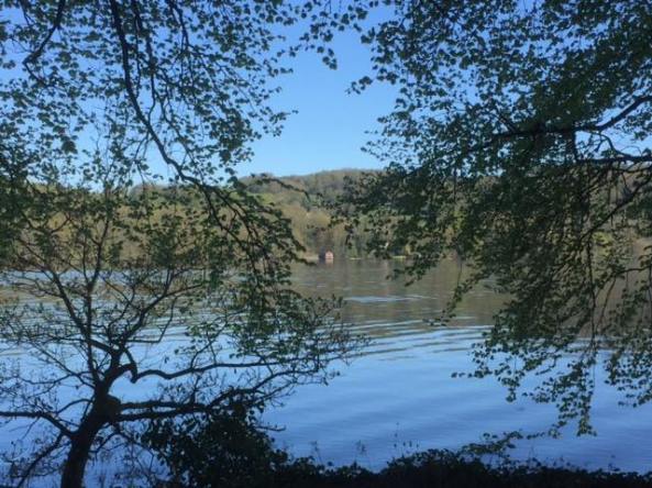 E2E7DA25-3C91-42C6-8AC9-07B6D1121277